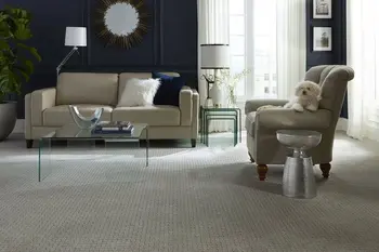 The Carpet Lady