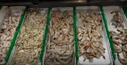 Prawns 