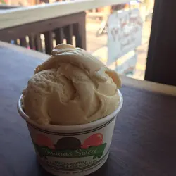 Pumpkin Ice Cream