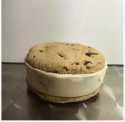 Ice Cream Cookie Sandwich