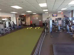 Physical fitness Training