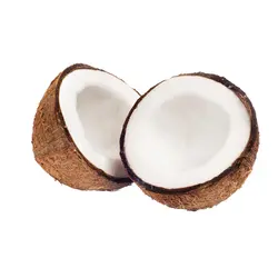  Coconut 