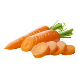 Carrot