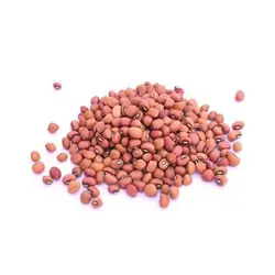 Vanpayar 