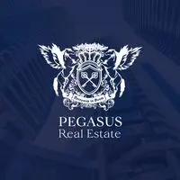 Pegasus Real Estate