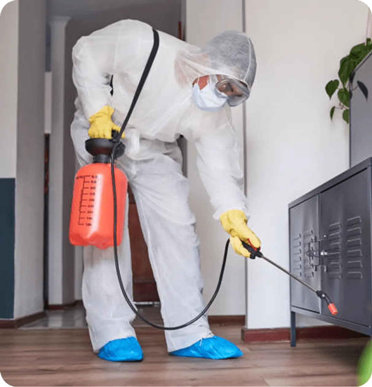 Pepi's Pest Control