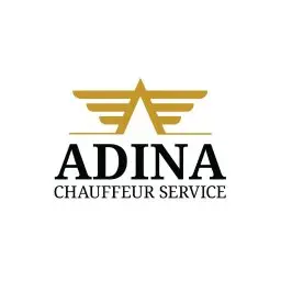 Premium Chauffeur Services