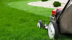 Lawn Servicing