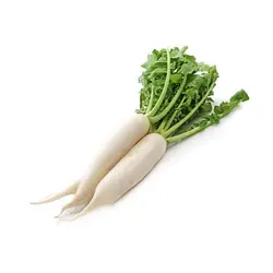 White Radishes