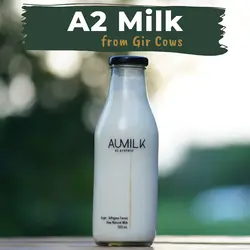 A2 Milk