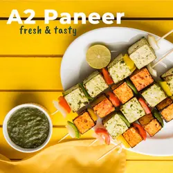 Paneer