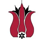 Red Tulip Gallery