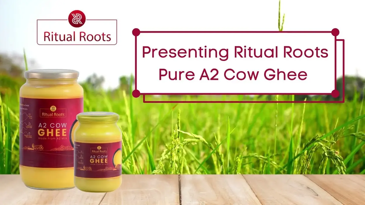 Ritual Roots - Dairy Products, Online Stores in Gurugram | Citymapia.com