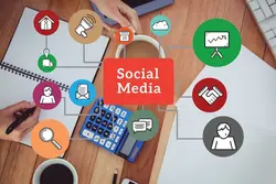 Search Engine Optimization