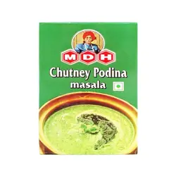 MDH Pudina Chutney Masala 100g