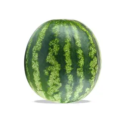 Water Melon Whole
