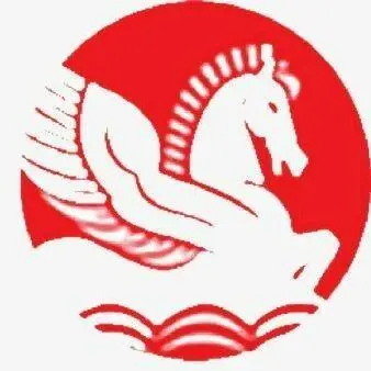 Singhal Industry