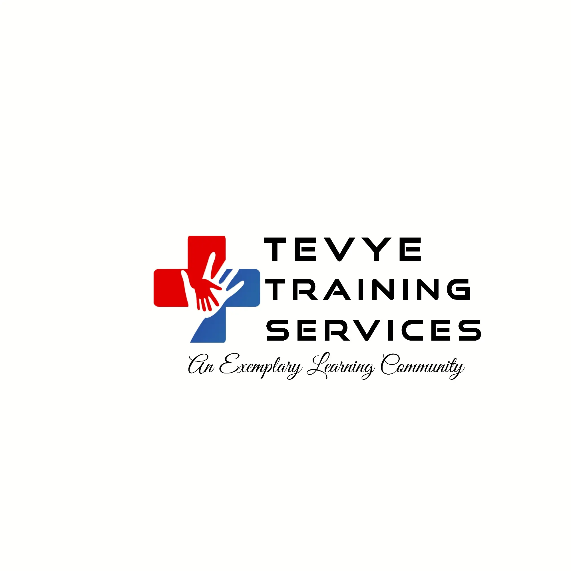 TEVYE TRAINING SERVICES