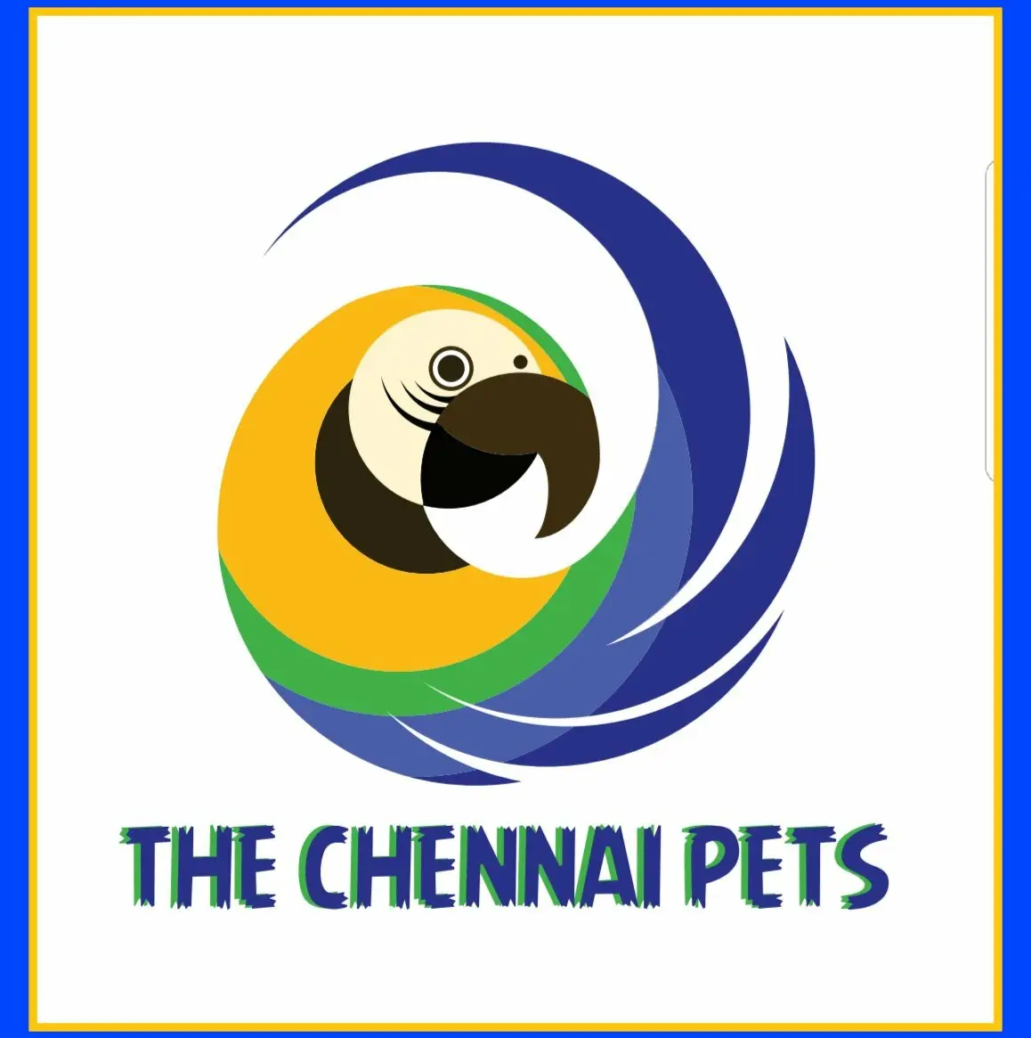 The Chennai Pets