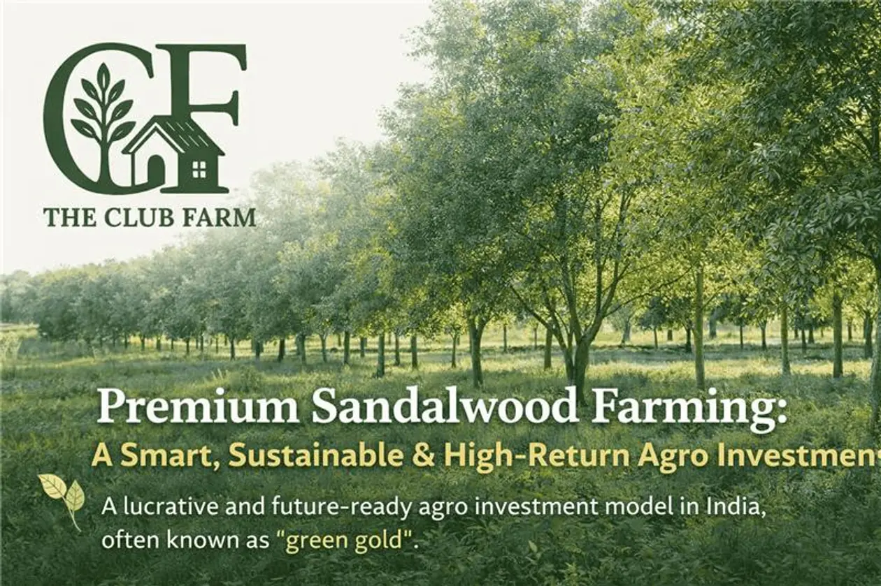The Club Farm