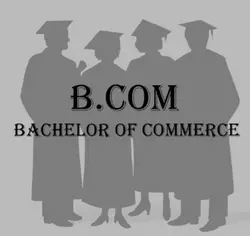  Bachelor of Commerce (B.COM)