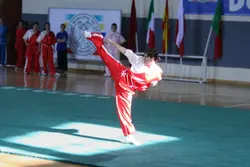 Wu shu class