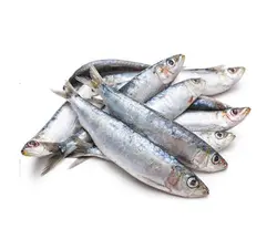 Mathy/Chala(മത്തി) 1 Kg