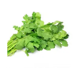 Coriander leaves/Malliyila (മല്ലിയില ) 100 gm