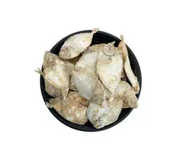 Mullan Fish Dry (മുള്ളൻ ) 100 gm