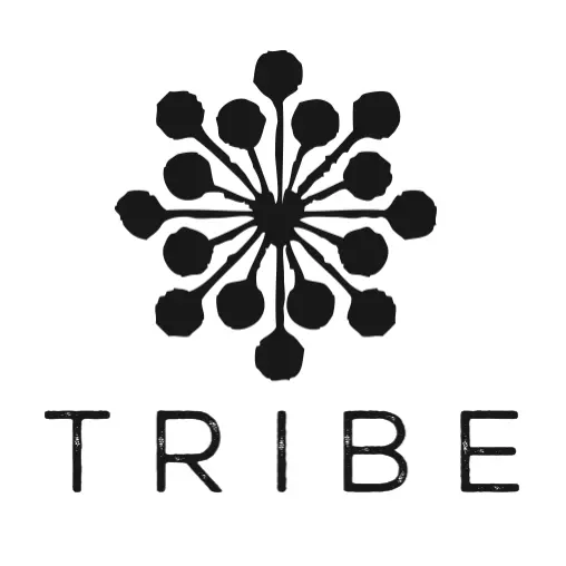 TribeDubai
