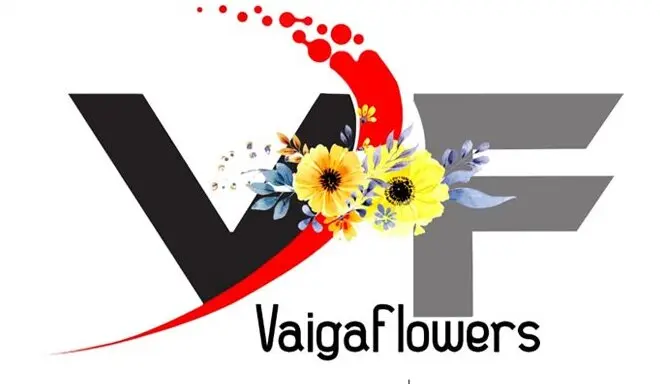 Vaiga Flowers