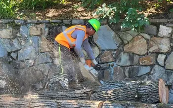 Solar Landscaping & Tree Service